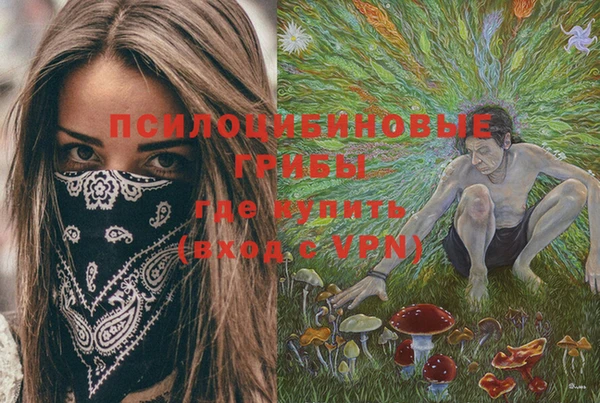тгк Наволоки